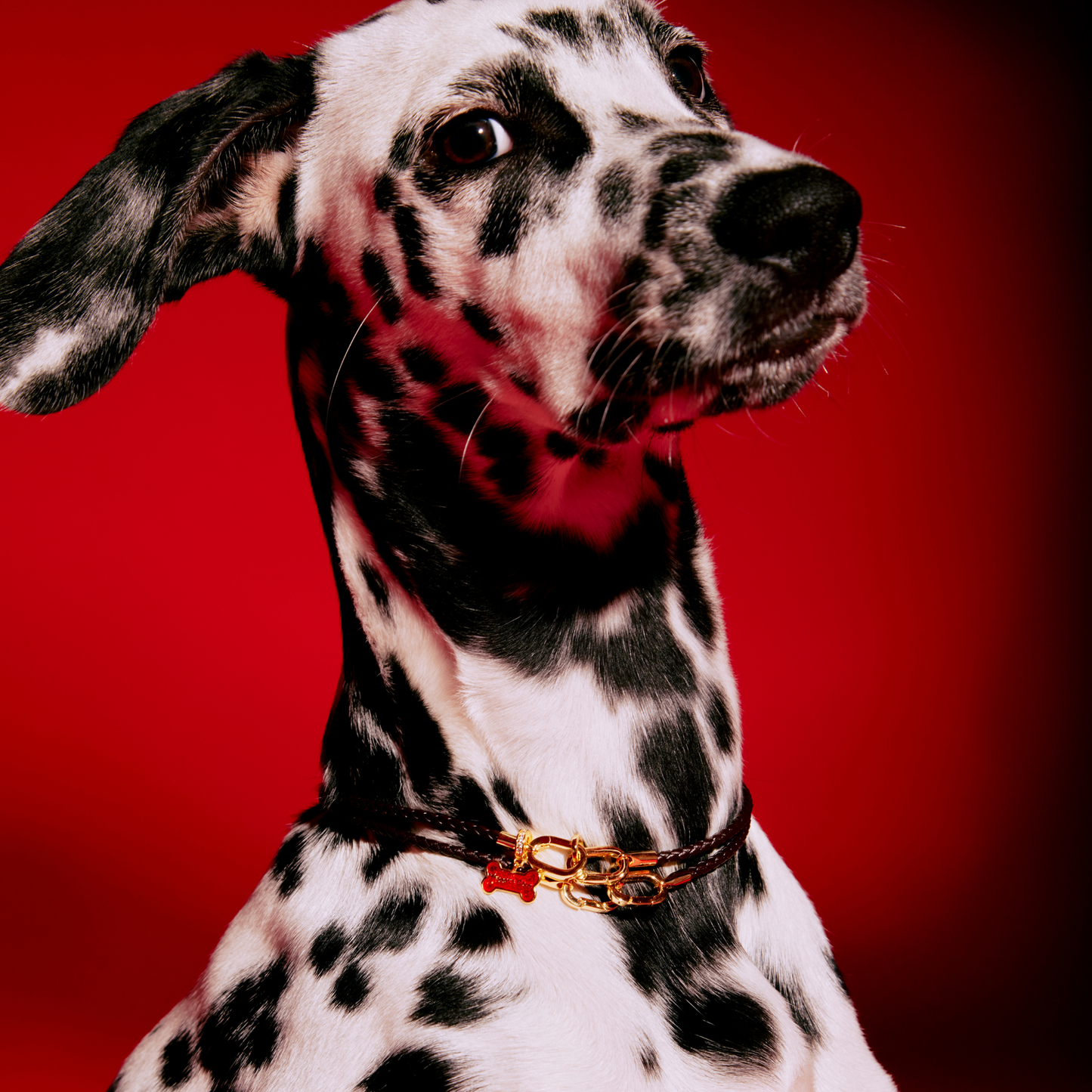 Collar - Pulsera Plateado