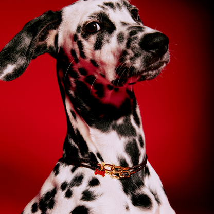 Collar - Pulsera Plateado