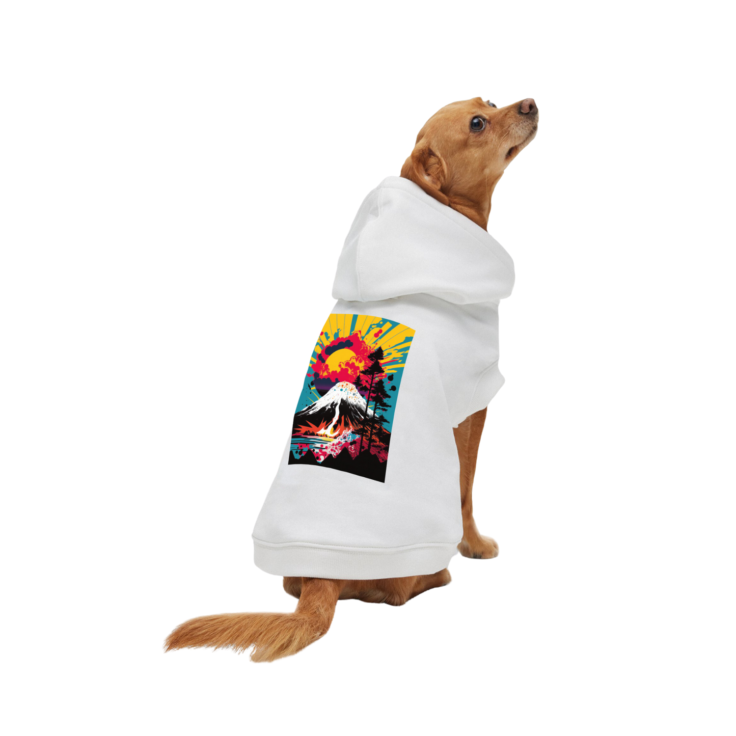 Hoodie Blanco